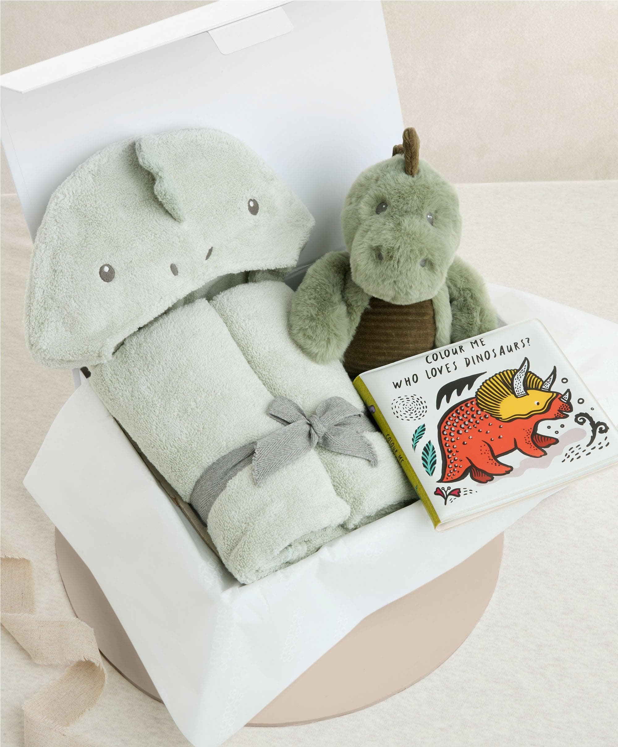 Bathtime Dinosaur - Medium Gift Box