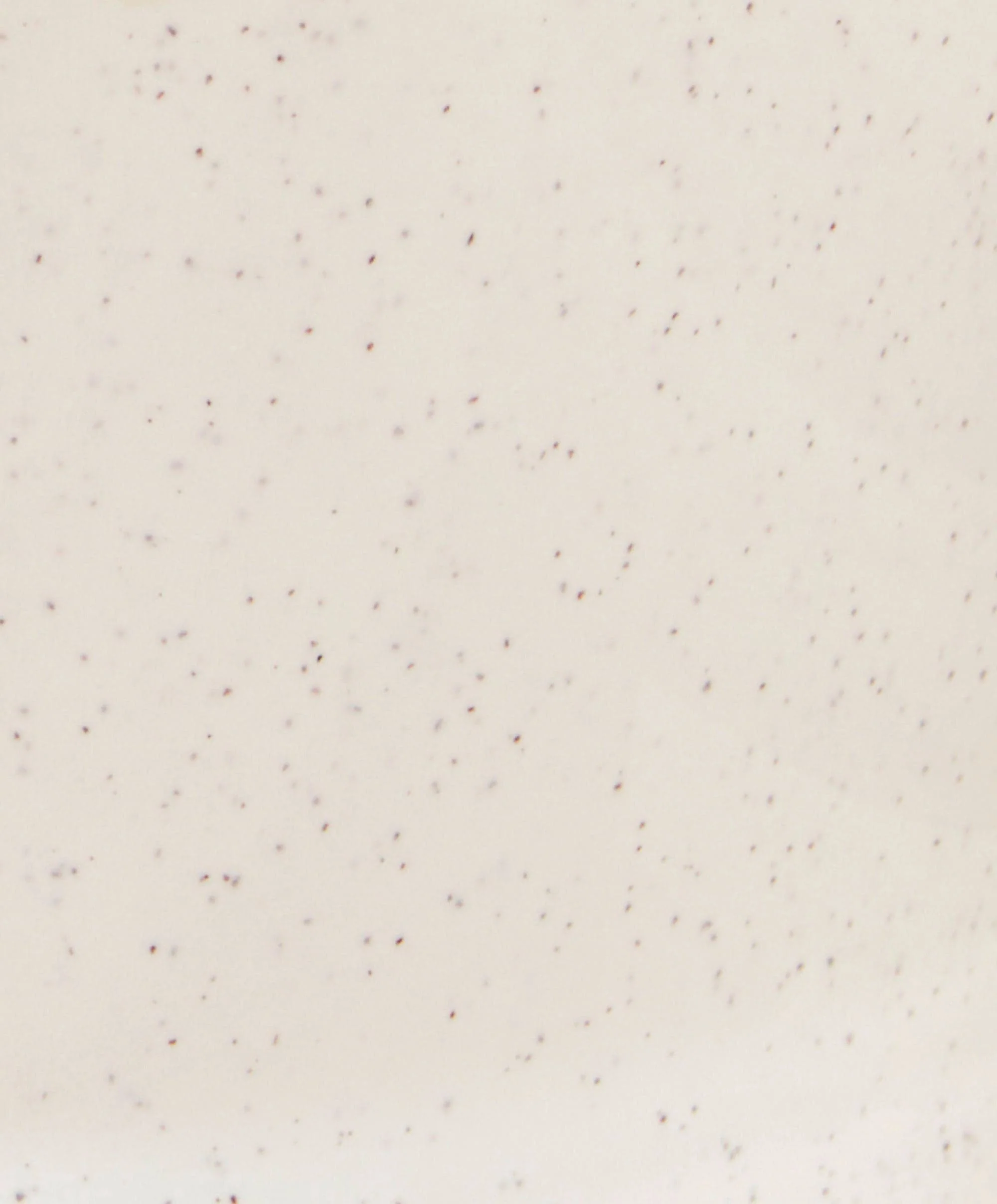 Shnuggle ECO Baby Bath - Cookies & Cream - Image 8