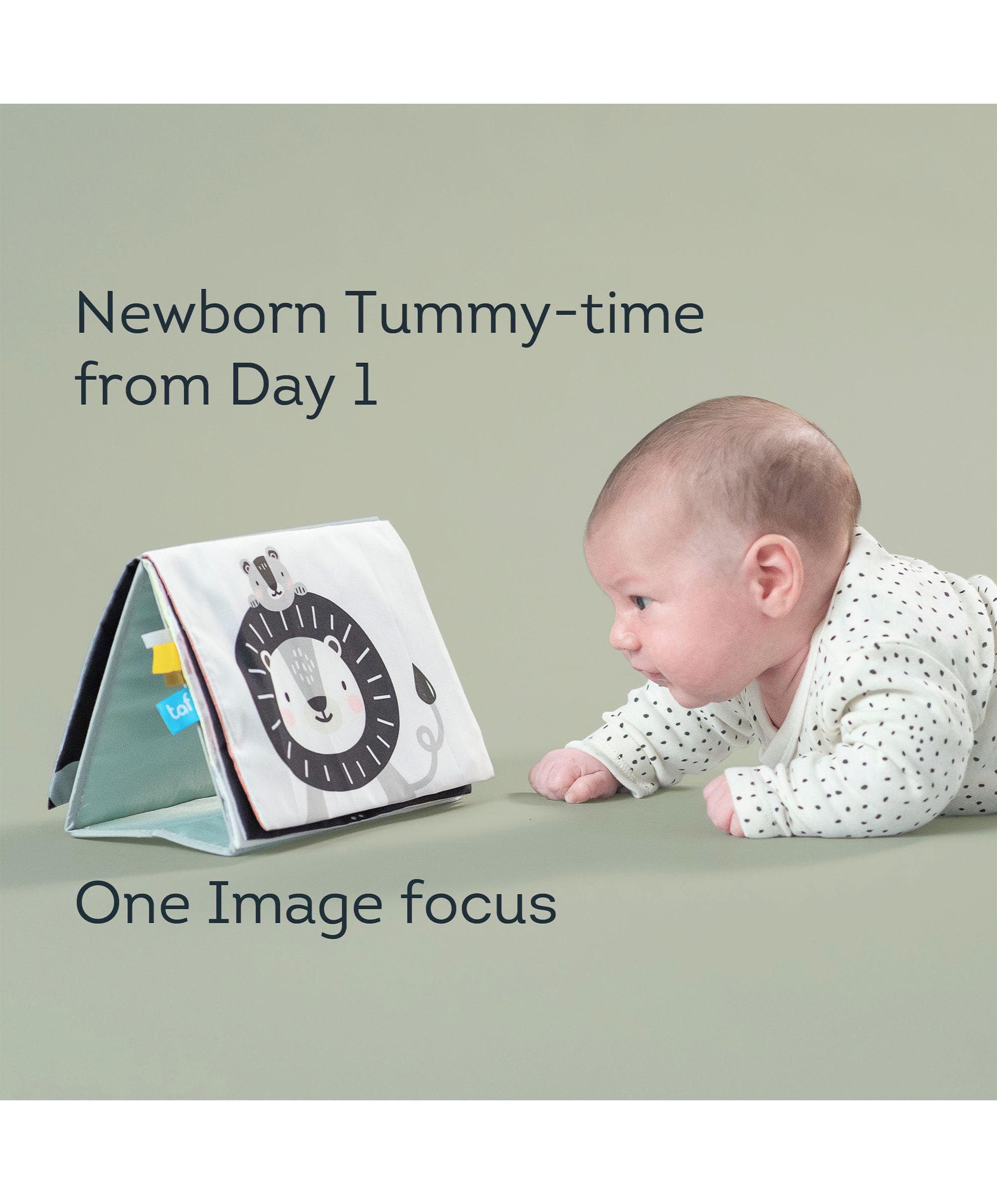 Taf Toys - Savannah Adventures Tummy Time Book - Image 6